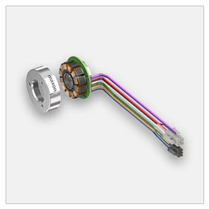 Maxon Motor Ecx Serisi