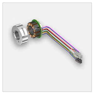 Maxon Motor Ecx Serisi