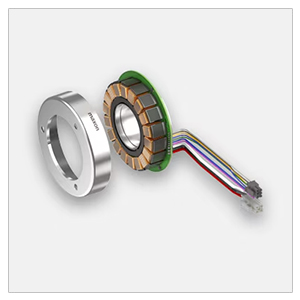 Maxon Motor Ecx Serisi