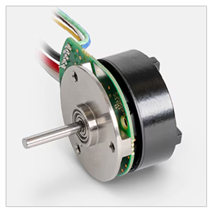 Maxon Motor Ecx Serisi