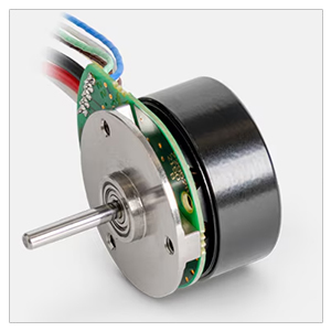 Maxon Motor Ecx Serisi