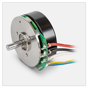 Maxon Motor Ecx Serisi