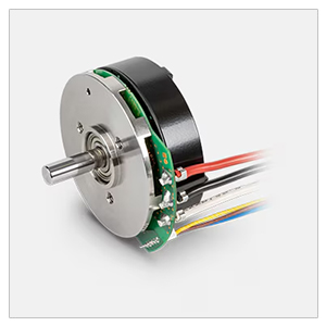 Maxon Motor Ecx Serisi